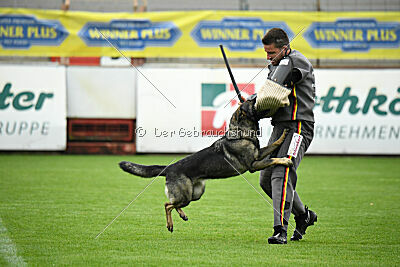 Tika van Arne`s Hoeve